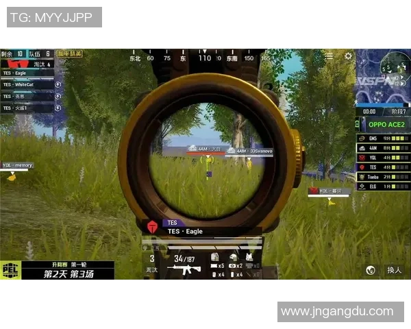 和平精英赛事分析：TES战队的比赛经验与策略探讨