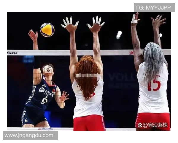 南京排球队实力引发热议球迷对球队表现的分歧与期待